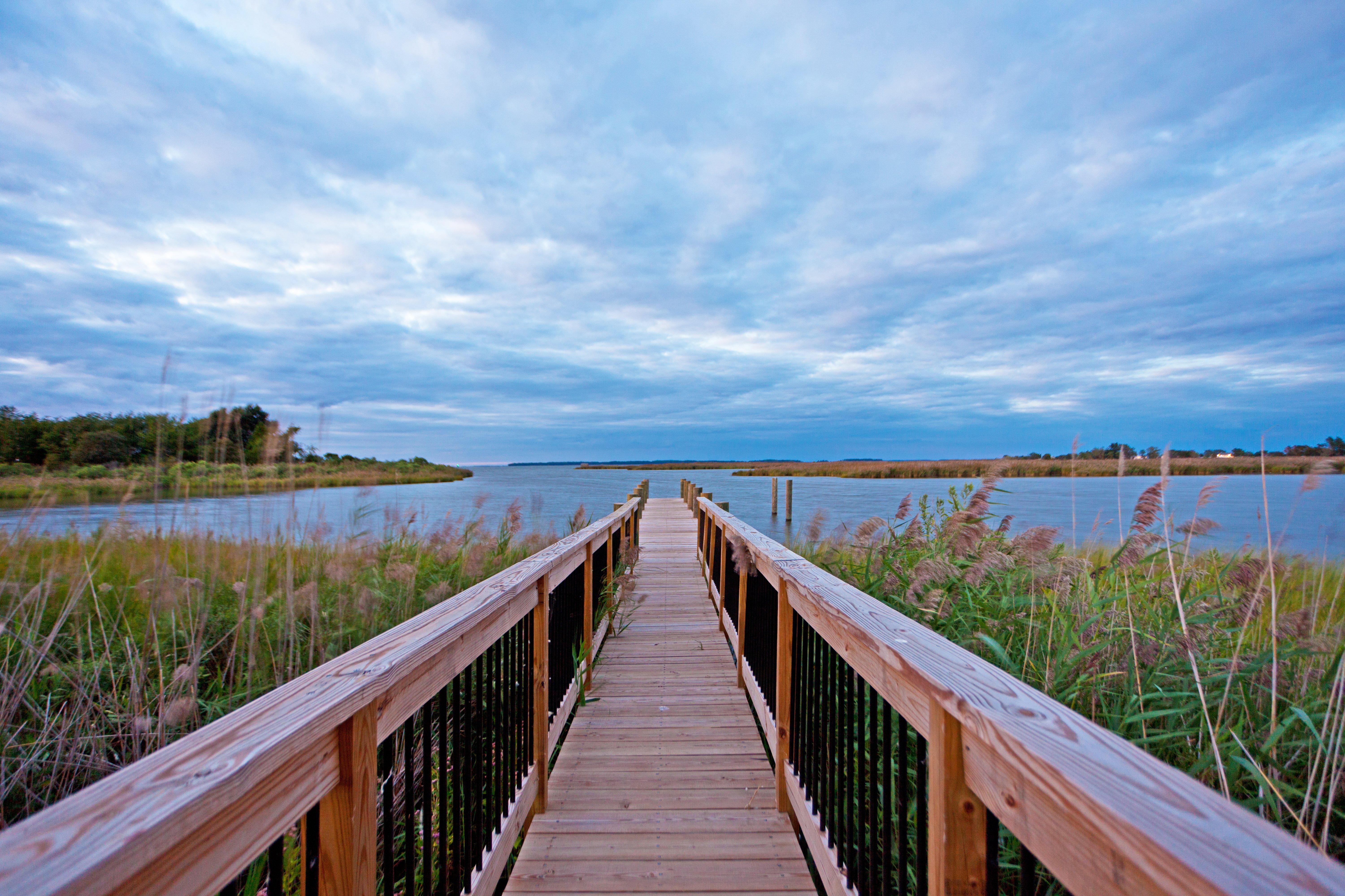 Grasonville Holiday Inn Express Annapolis East-Kent Island By Ihg מראה חיצוני תמונה